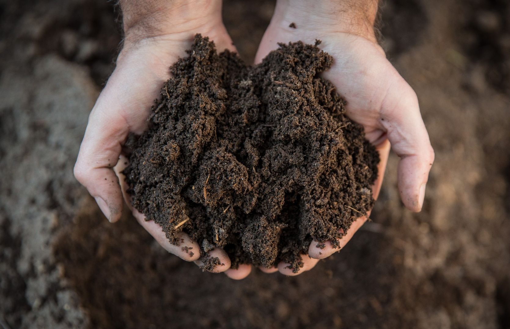 nc-pfas-biosolids-program-search